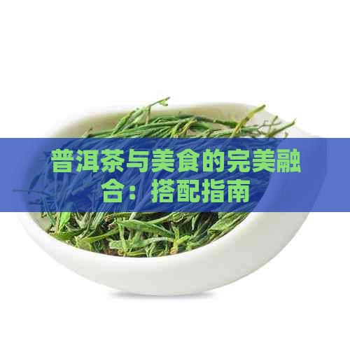 普洱茶与美食的完美融合：搭配指南