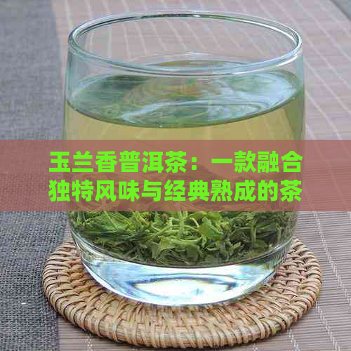 玉兰香普洱茶：一款融合独特风味与经典熟成的茶叶体验