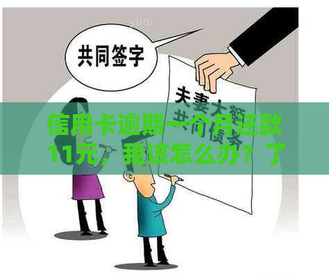 信用卡逾期一个月还款11元，我该怎么办？了解完整解决方案和影响