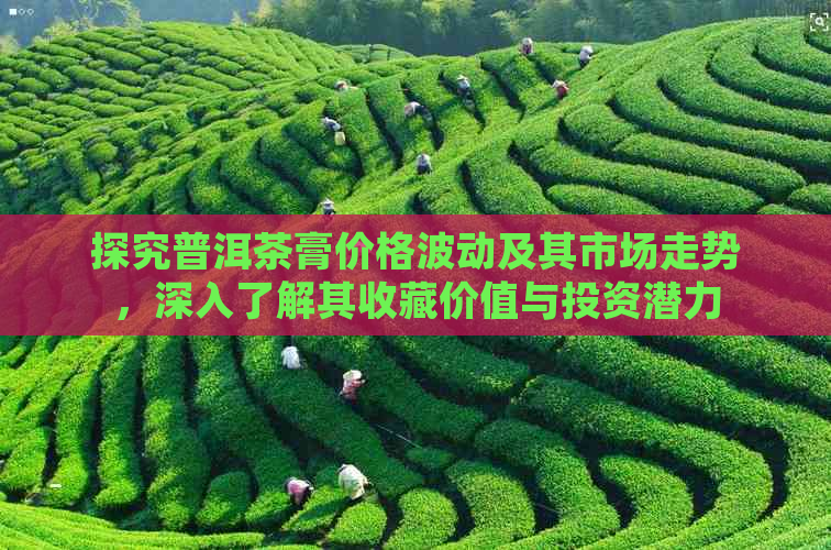 探究普洱茶膏价格波动及其市场走势，深入了解其收藏价值与投资潜力