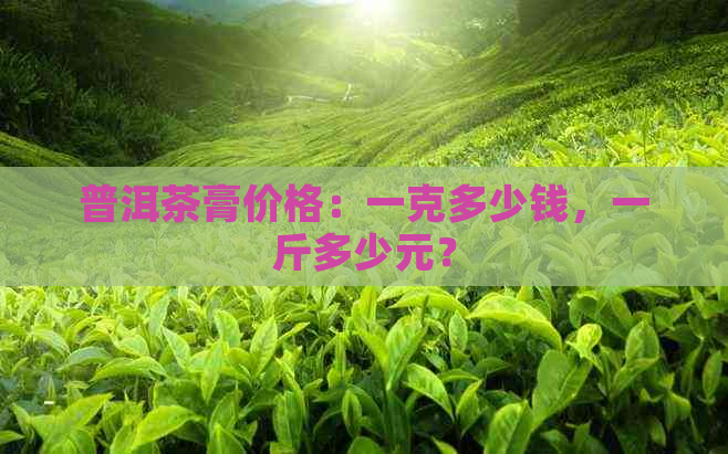 普洱茶膏价格：一克多少钱，一斤多少元？