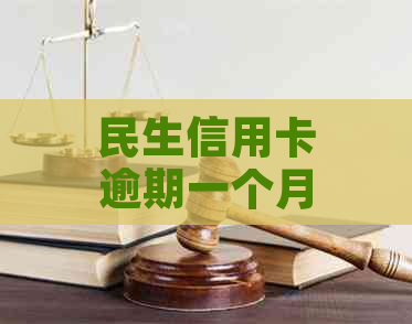 民生信用卡逾期一个月后可能产生的后果及方式详解