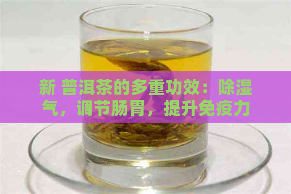 新 普洱茶的多重功效：除湿气，调节肠胃，提升免疫力