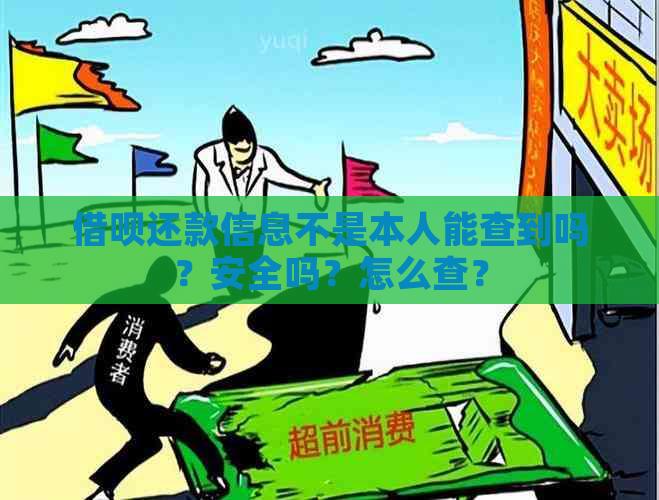 借呗还款信息不是本人能查到吗？安全吗？怎么查？