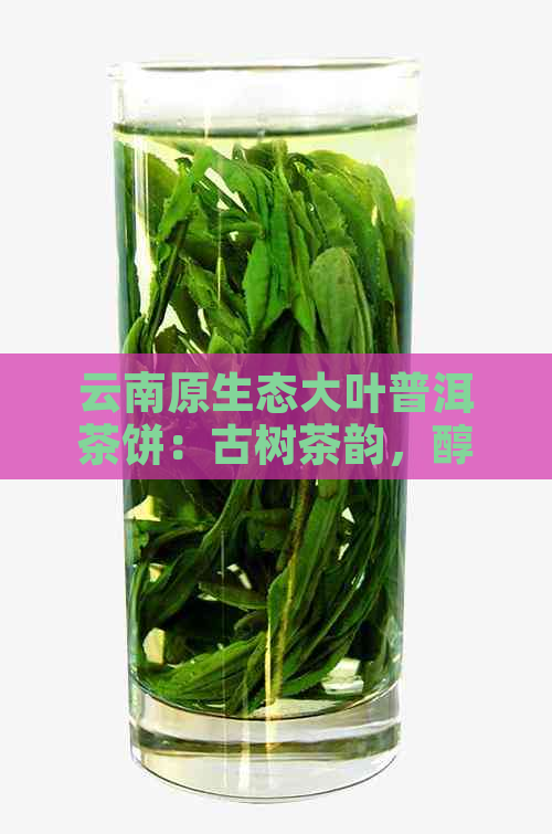 云南原生态大叶普洱茶饼：古树茶韵，醇厚回