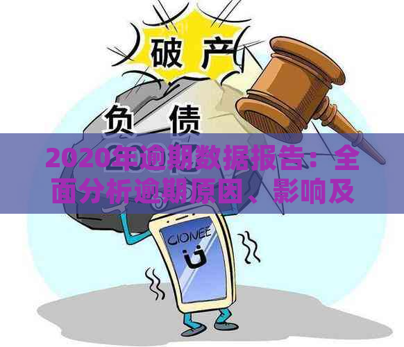 2020年逾期数据报告：全面分析逾期原因、影响及解决方案，助您避免逾期风险