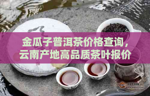 金瓜子普洱茶价格查询，云南产地高品质茶叶报价。