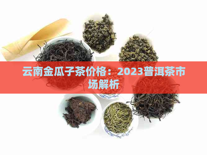 云南金瓜子茶价格：2023普洱茶市场解析