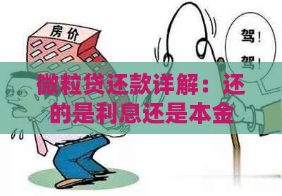 微粒贷还款详解：还的是利息还是本金？是等额本息吗？