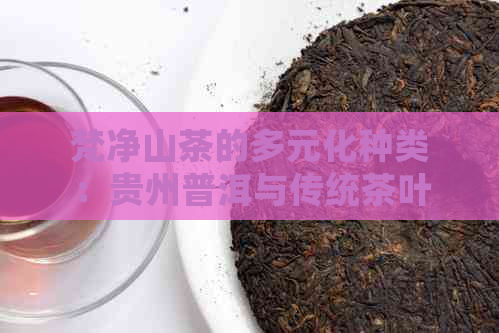 梵净山茶的多元化种类：贵州普洱与传统茶叶品种对比