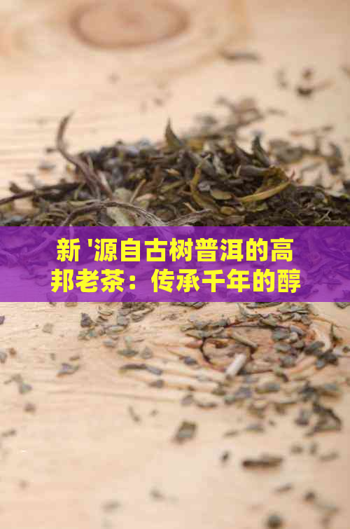 新 '源自古树普洱的高邦老茶：传承千年的醇厚口感与健价值'