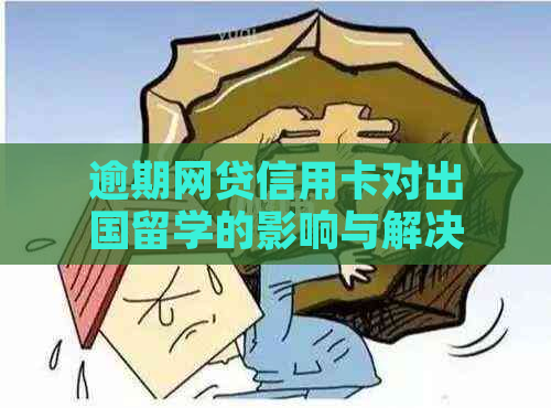 逾期网贷信用卡对出国留学的影响与解决方案