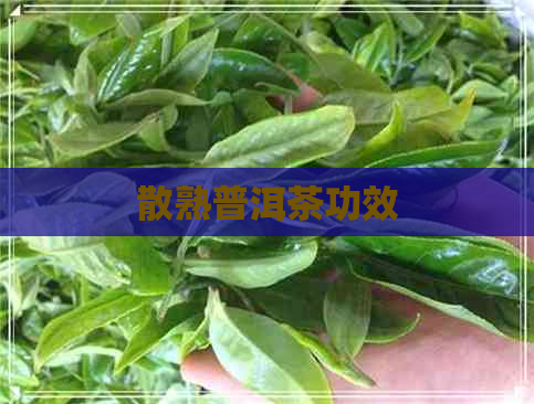 散熟普洱茶功效