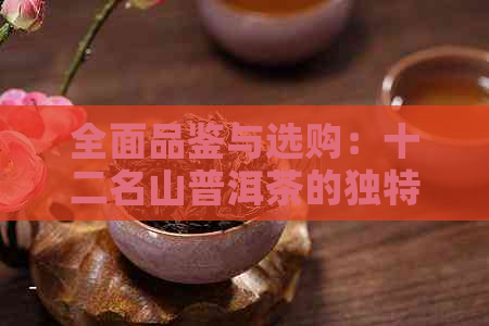 全面品鉴与选购：十二名山普洱茶的独特魅力、制作工艺和适合的饮用场景