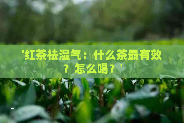 '红茶祛湿气：什么茶最有效？怎么喝？'