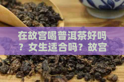 在故宫喝普洱茶好吗？女生适合吗？故宫的普洱茶有哪些牌子？