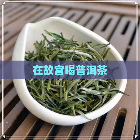 在故宫喝普洱茶