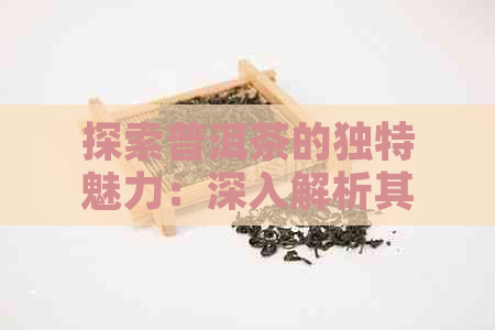 探索普洱茶的独特魅力：深入解析其沉香气息的奥秘