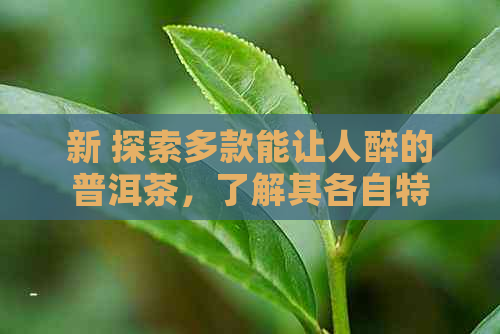 新 探索多款能让人醉的普洱茶，了解其各自特点与饮用效果