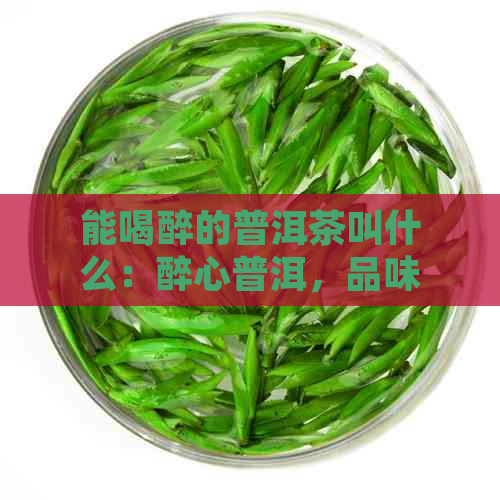 能喝醉的普洱茶叫什么：醉心普洱，品味醇厚