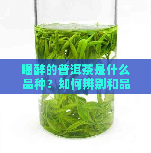 喝醉的普洱茶是什么品种？如何辨别和品鉴？