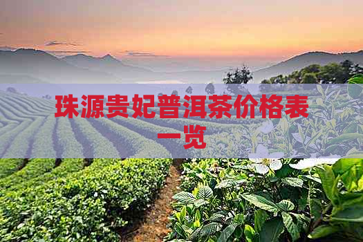 珠源贵妃普洱茶价格表一览