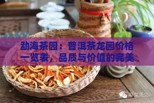 勐海茶园：普洱茶龙园价格一览表，品质与价值的完美结合