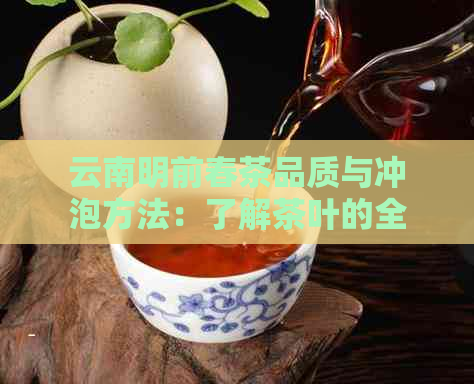 云南明前春茶品质与冲泡方法：了解茶叶的全部信息以品尝口感