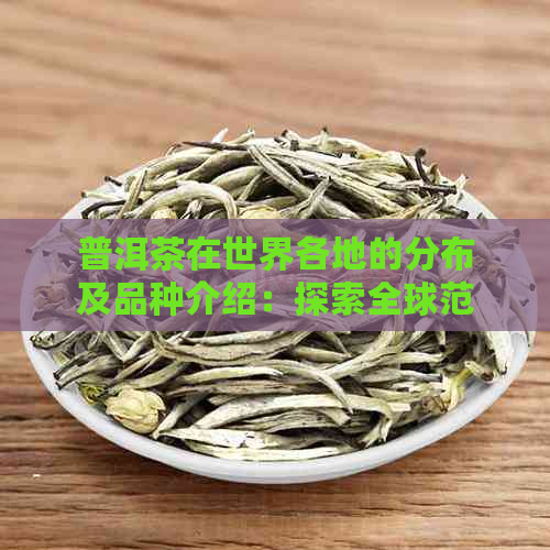 普洱茶在世界各地的分布及品种介绍：探索全球范围内的普洱茶文化