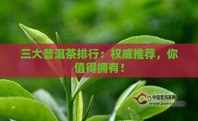 三大普洱茶排行：权威推荐，你值得拥有！