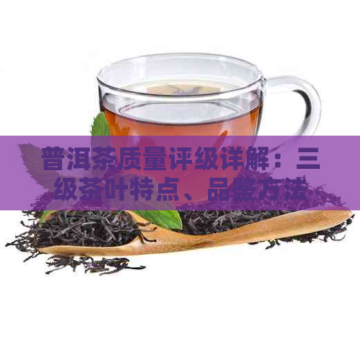 普洱茶质量评级详解：三级茶叶特点、品鉴方法及购买建议