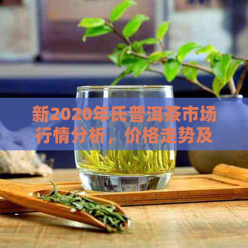 新2020年氏普洱茶市场行情分析，价格走势及消费者关注点探讨