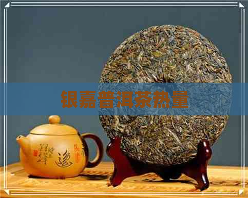 银嘉普洱茶热量