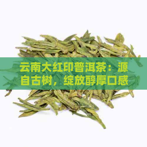 云南大红印普洱茶：源自古树，绽放醇厚口感的茶艺珍品