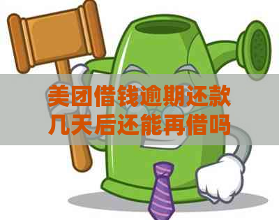 美团借钱逾期还款几天后还能再借吗？