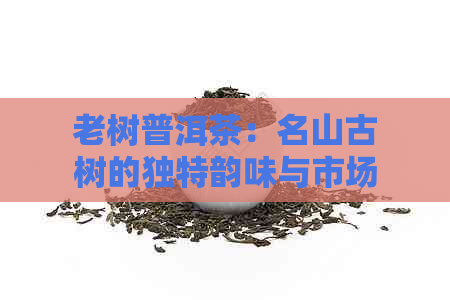 老树普洱茶：名山古树的独特韵味与市场行情分析