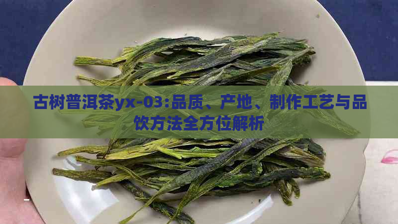 古树普洱茶yx-03:品质、产地、制作工艺与品饮方法全方位解析