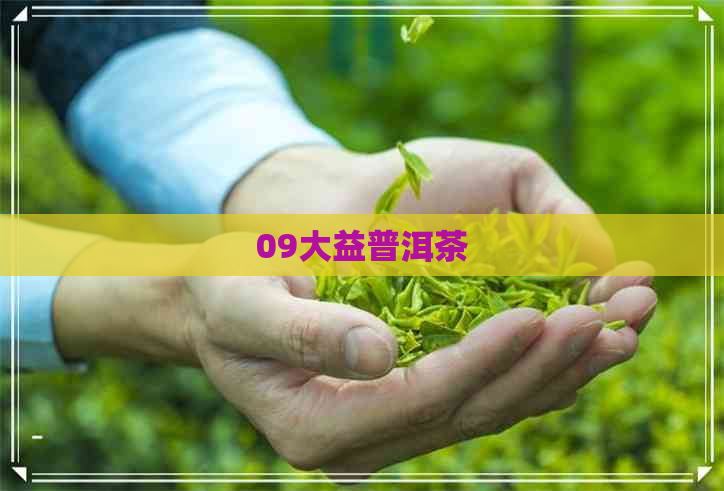 09大益普洱茶