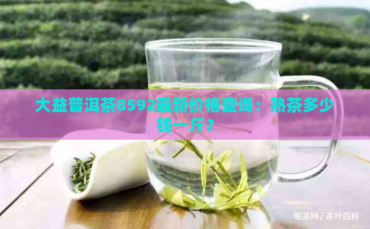 大益普洱茶8592最新价格查询：熟茶多少钱一斤？