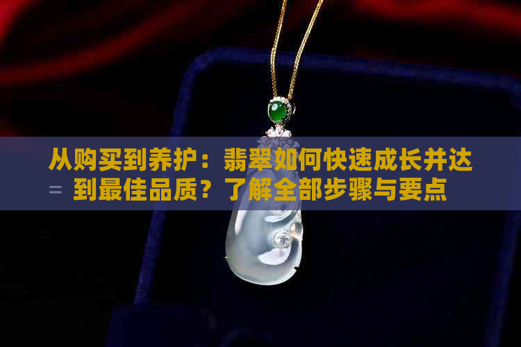 从购买到养护：翡翠如何快速成长并达到更佳品质？了解全部步骤与要点