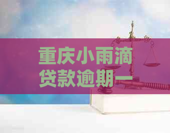 重庆小雨滴贷款逾期一天的后果及处理方法