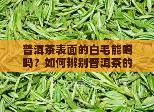 普洱茶表面的白毛能喝吗？如何辨别普洱茶的品质？