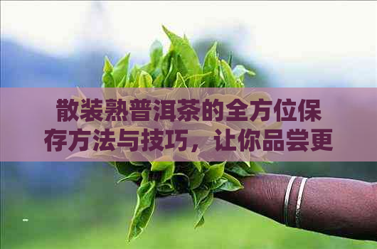 散装熟普洱茶的全方位保存方法与技巧，让你品尝更持久的美味