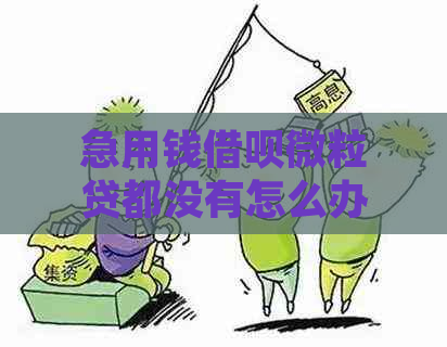 急用钱借呗微粒贷都没有怎么办理，花呗额度提升及还款期策略