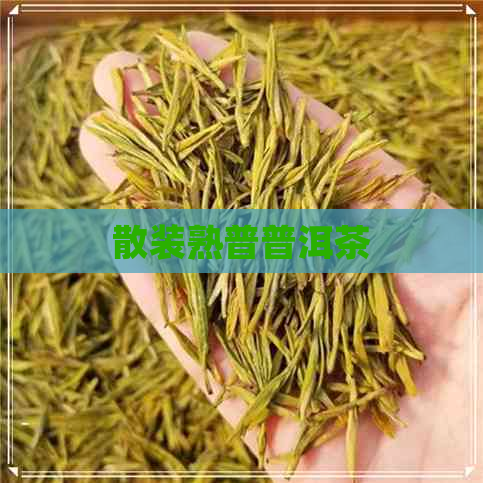 散装熟普普洱茶