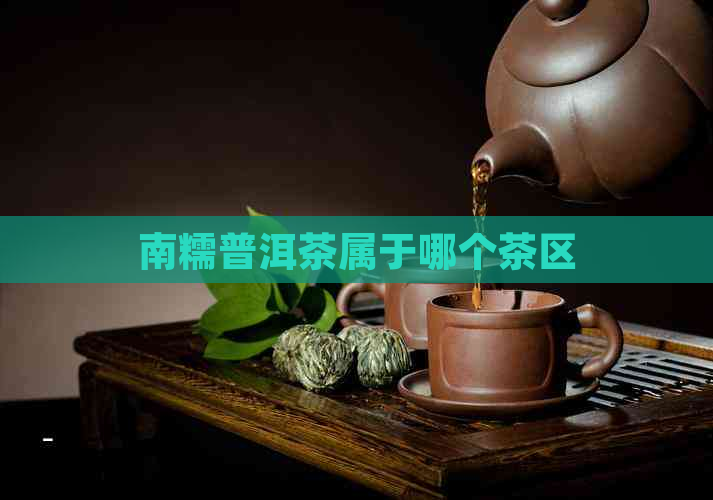 南糯普洱茶属于哪个茶区