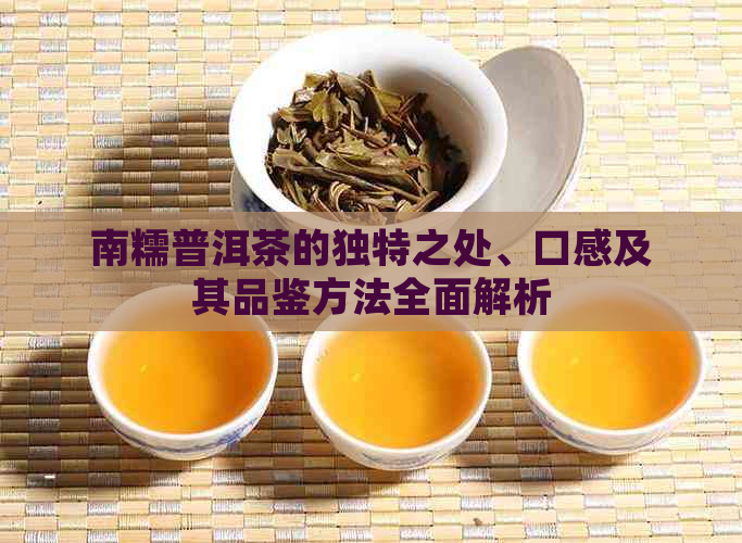 南糯普洱茶的独特之处、口感及其品鉴方法全面解析