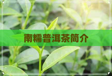 南糯普洱茶简介