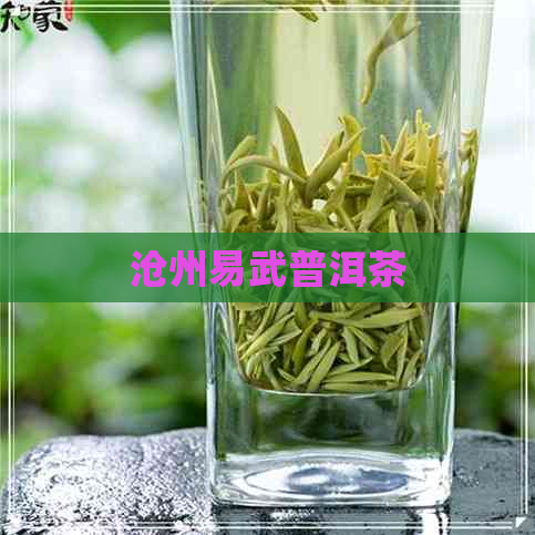 沧州易武普洱茶