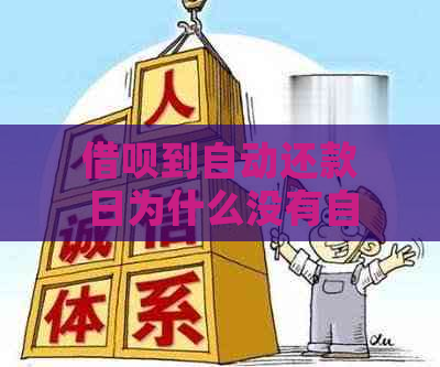 借呗到自动还款日为什么没有自动扣款？